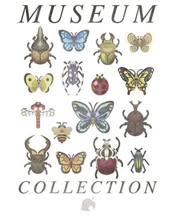 Boy's Museum Bug Collection Child T-Shirt NINTENDO Boy's Museum Bug Collection Child T-Shirt -Carter’s Shop