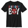 Marvel Boy's Spider-Man Birthday Boy Mask Child T-Shirt
