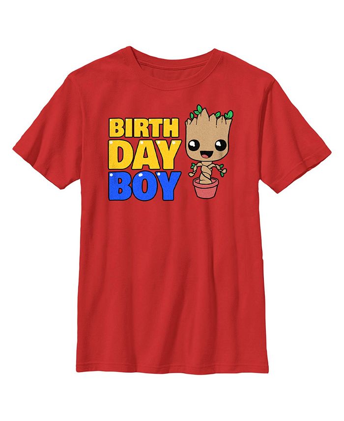 Boy's Guardians Of The Galaxy Birthday Boy Pot Plant Groot Child T-Shirt Marvel Boy's Guardians Of The Galaxy Birthday Boy Pot Plant Groot Child T-Shirt -Carter’s Shop