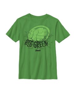 Marvel Boy's Avengers: Endgame Hulk Big Child T-Shirt