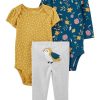 Carter's™ Baby Girls Pants And Bodysuits, 3 Piece Set