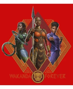 Marvel Boy's Black Panther: Wakanda Forever Okoye Shuri And Nakia Portraits Child T-Shirt 2 Marvel Boy's Black Panther: Wakanda Forever Okoye Shuri And Nakia Portraits Child T-Shirt -Carter’s Shop 23438417 fpx