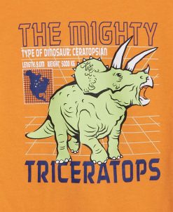 Epic Threads Little Boys Short Sleeves Graphic T-shirt -Carter’s Shop 23701458 fpx 1